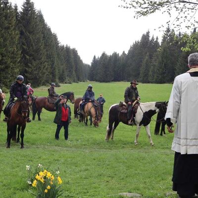 Bild vergr&ouml;&szlig;ern: Reitweg Pegas II